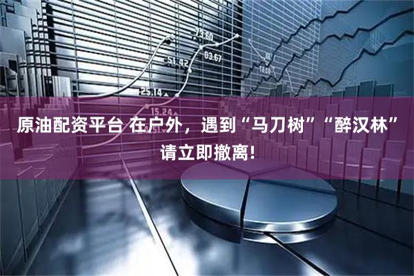 原油配资平台 在户外，遇到“马刀树”“醉汉林”请立即撤离!